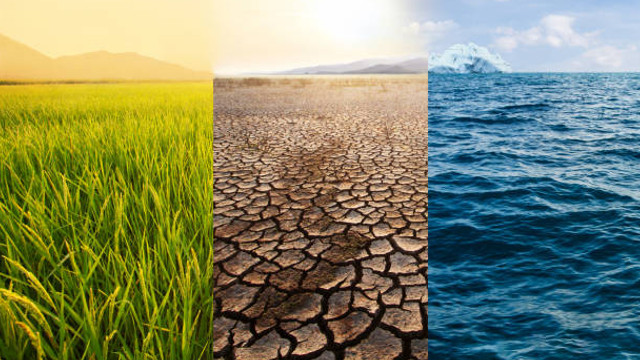 Ghid pentru sănătate publică. A fost lansat manualul „Adaptarea la schimbări climatice” Ghid pentru sănătate publică. A fost lansat manualul „Adaptarea la schimbări climatice”