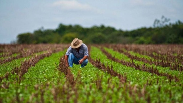 AIPA a autorizat în luna iunie plăți de peste 133 de milioane de lei pentru agricultori AIPA a autorizat în luna iunie plăți de peste 133 de milioane de lei pentru agricultori