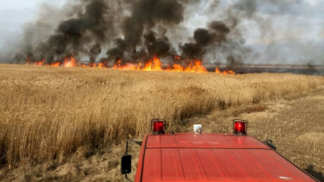 Puternic incendiu de vegetație la Comrat. Patru echipe de salvatori implicate în lupta cu flăcările Puternic incendiu de vegetație la Comrat. Patru echipe de salvatori implicate în lupta cu flăcările