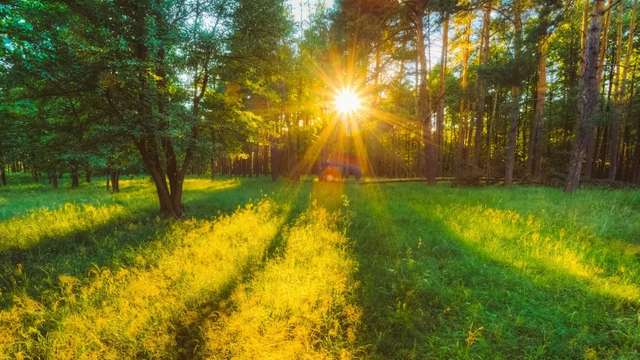 METEO | Vreme stabilă în Republica Moldova, cu temperaturi de până la 32 de grade Celsius