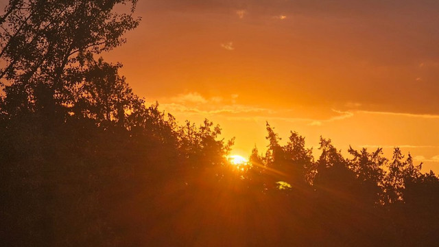 Cod galben de caniculă în sudul Republicii Moldova, cu temperaturi de până la 35 de grade Celsius  Cod galben de caniculă în sudul Republicii Moldova, cu temperaturi de până la 35 de grade Celsius