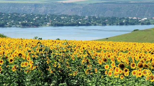 Astăzi vom avea parte de vreme foarte caldă, cu temperaturi ce vor ajunge până la aproape 40 de grade Celsius  Astăzi vom avea parte de vreme foarte caldă, cu temperaturi ce vor ajunge până la aproape 40 de grade Celsius