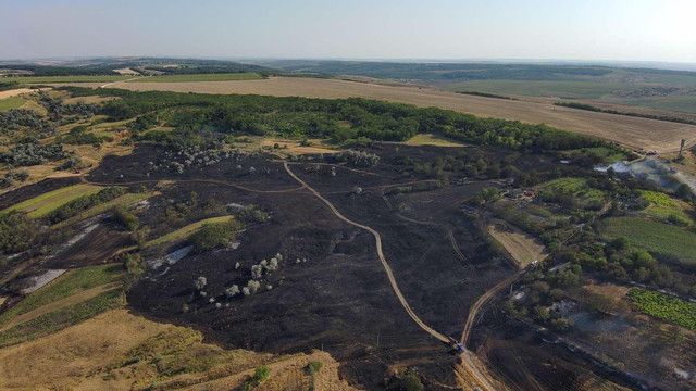 Incendiu de vegetație stins după 11 ore de intervenție în raionul Căușeni: 25 de hectare au fost mistuite de flăcări (FOTO) Incendiu de vegetație stins după 11 ore de intervenție în raionul Căușeni: 25 de hectare au fost mistuite de flăcări (FOTO)