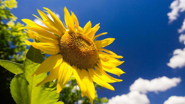 METEO | Ultima zi din iulie vine cu temperaturi de până la 30 de grade Celsius
