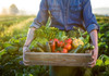 Aproape 100 de afaceri agricole au beneficiat de sprijin financiar prin Programul Facilitatea de Creditare în Agricultură