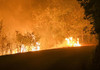 Incendii de vegetație în sudul Franței. MAE a emis alertă de călătorie