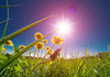 METEO | Vreme stabilă și temperaturi plăcute în toată țara, marți