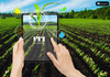 În Republica Moldova va fi creat primul parc industrial dedicat inovațiilor digitale în agricultură
