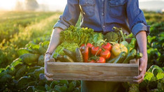Aproape 100 de afaceri agricole au beneficiat de sprijin financiar prin Programul Facilitatea de Creditare în Agricultură
