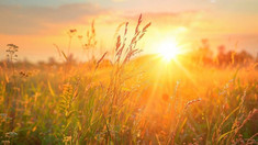 Meteorologii au emis cod galben de caniculă pentru acest weekend