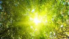 Weekend cu vreme frumoasă și temperaturi caniculare în Republica Moldova 