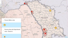 Trei focare de pestă porcină africană au fost înregistrate în raioanele Râșcani și Leova