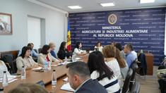 Ministerul Agriculturii a început simulările finale pentru screeningul bilateral cu UE pe capitolele 11 și 12

