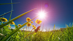 METEO | Vreme stabilă și temperaturi plăcute în toată țara, marți