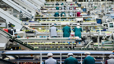 Microîntreprinderile agricole pot accesa până la 150 mii de euro pentru investiții în procesare
