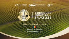 „Concours Mondial de Bruxelles”, în premieră în R. Moldova. Peste 1.000 de vinuri spumante din 29 de țări vor fi evaluate