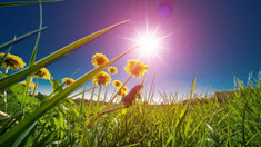 METEO | Cer varibil și maxime de 35 grade Celsius, prognozate pentru vineri, 22 august 