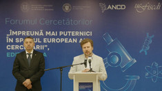 LIVE | Ministrul român al Educației, Daniel David, și ministrul Educației de la Chișinău, Dan Perciun, susțin o conferință comună de presă