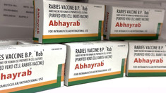 CNAM a achiziționat 3.200 de doze de vaccin antirabic