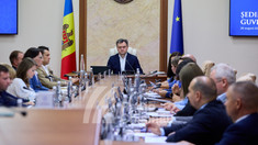 Noi numiri în funcții, aprobate la ședința Guvernului 