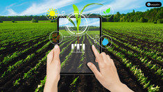 În Republica Moldova va fi creat primul parc industrial dedicat inovațiilor digitale în agricultură
