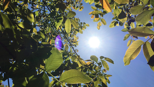Luna august vine cu un val de căldură, urmat de o răcire ușoară în Republica Moldova Luna august vine cu un val de căldură, urmat de o răcire ușoară în Republica Moldova