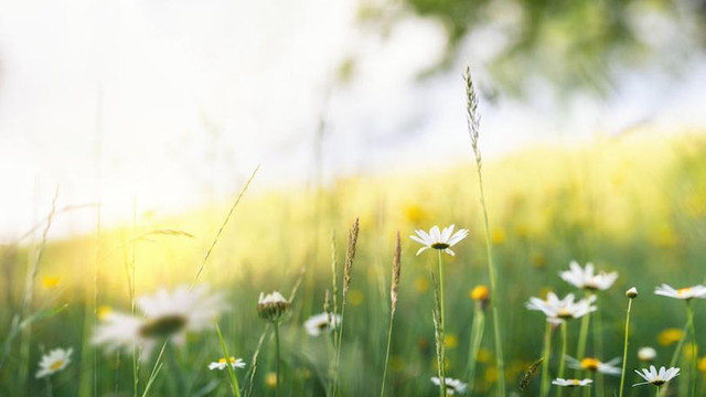 METEO | Vreme frumoasă în weekend, cu temperaturi în creștere până la 33 grade Celsius
