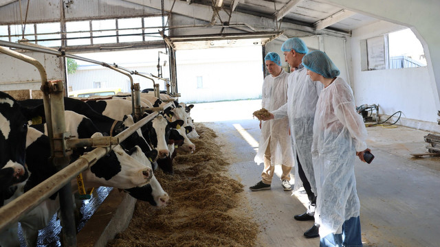 Investiții de peste 2 milioane de dolari într-o fermă de vaci din Horești, Ialoveni, care se modernizează cu ajutorul proiectului AGGRI (FOTO) Investiții de peste 2 milioane de dolari într-o fermă de vaci din Horești, Ialoveni, care se modernizează cu ajutorul proiectului AGGRI (FOTO)