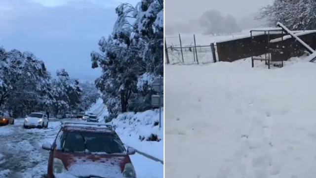 VIDEO | Fenomen rar în Australia: Mai multe orașe, acoperite de cel mai gros strat de zăpadă din ultimele decenii
 VIDEO | Fenomen rar în Australia: Mai multe orașe, acoperite de cel mai gros strat de zăpadă din ultimele decenii