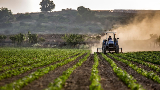 Peste 96 de milioane de lei, autorizați spre plată în iulie pentru fermieri și proiecte din mediul rural
Peste 96 de milioane de lei, autorizați spre plată în iulie pentru fermieri și proiecte din mediul rural