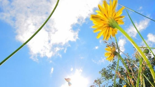 METEO | Cer variabil și ploi slabe în nordul țării, prognozate pentru astăzi, 5 august