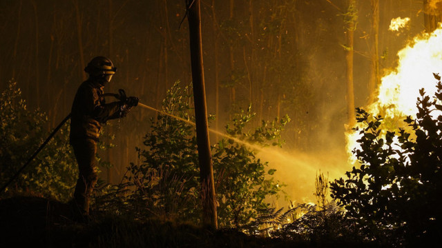 Risc major de incendii de vegetație în Portugalia. MAE a emis alertă de călătorie Risc major de incendii de vegetație în Portugalia. MAE a emis alertă de călătorie