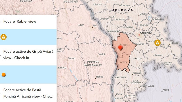 Patru focare pestă porcină și unul de rabie, înregistrate în Republica Moldova Patru focare pestă porcină și unul de rabie, înregistrate în Republica Moldova