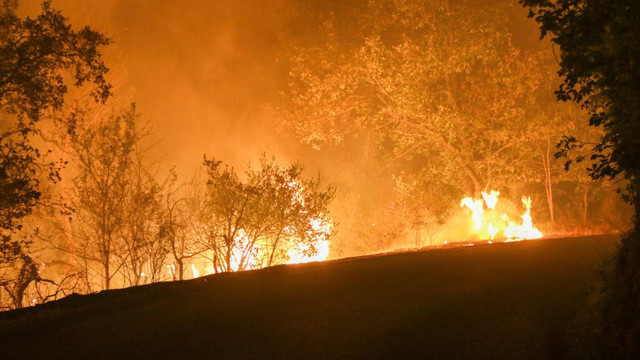 Incendii de vegetație în sudul Franței. MAE a emis alertă de călătorie Incendii de vegetație în sudul Franței. MAE a emis alertă de călătorie