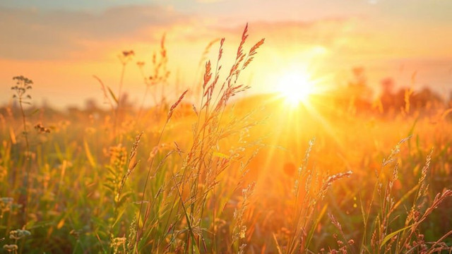 Meteorologii au emis cod galben de caniculă pentru acest weekend
