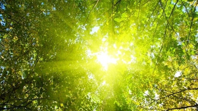Weekend cu vreme frumoasă și temperaturi caniculare în Republica Moldova Weekend cu vreme frumoasă și temperaturi caniculare în Republica Moldova