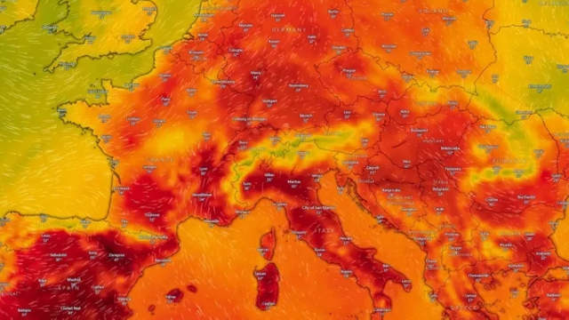 Europa este afectată de o caniculă „excepțională”, cu temperaturi de peste 42 de grade Celsius Europa este afectată de o caniculă „excepțională”, cu temperaturi de peste 42 de grade Celsius