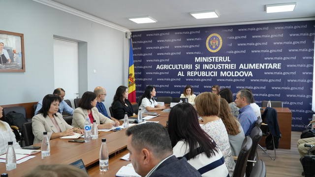 Ministerul Agriculturii a început simulările finale pentru screeningul bilateral cu UE pe capitolele 11 și 12

