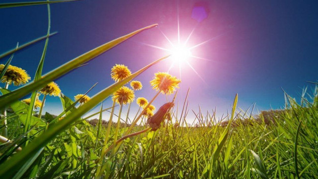 METEO | Cer varibil și maxime de 35 grade Celsius, prognozate pentru vineri, 22 august METEO | Cer varibil și maxime de 35 grade Celsius, prognozate pentru vineri, 22 august