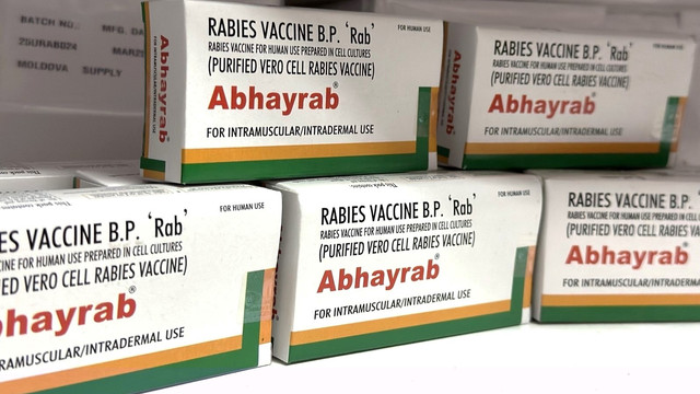CNAM a achiziționat 3.200 de doze de vaccin antirabic CNAM a achiziționat 3.200 de doze de vaccin antirabic
