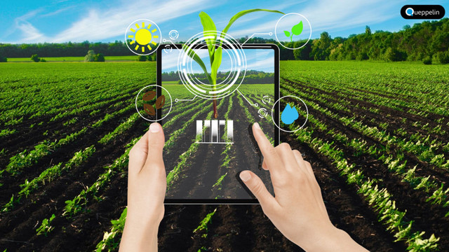 În Republica Moldova va fi creat primul parc industrial dedicat inovațiilor digitale în agricultură
