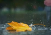METEO | Cer variabil și ploi slabe sâmbătă noaptea. Câte grade se vor înregistra în acest weekend