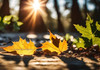 Astăzi vom avea cer senin și temperaturi de până la 27 de grade Celsius