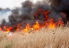 Cod galben de pericol de incendiu, emis de meteorologi 