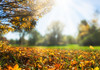 METEO | Cer varibil și maxime de până la 27 grade Celsius, anunțate pentru miercuri 