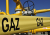 Guvernul a aprobat un set de facilități fiscale pentru importul de gaze naturale și energie electrică 