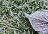 Meteorologii au emis Cod galben de îngheț pe întreg teritoriul R. Moldova