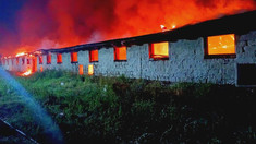Incendiu de proporții în raionul Rîșcani. Trei sute de animale au fost salvate dintr-un adăpost mistuit de flăcări (FOTO)