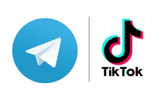 Ministra de interne: TikTok colaborează cu autoritățile pentru a preveni interferența externă, Telegram – nu