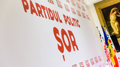 Președinta Oficiului Teritorial Glodeni al fostului Partid Politic „Șor”, condamnată la 5 ani și 6 luni de închisoare